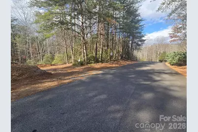 Lot 38 Dalton Court, Lake Lure, NC 28746 - Photo 9