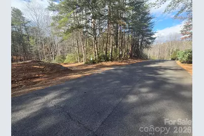 Lot 38 Dalton Court, Lake Lure, NC 28746 - Photo 1