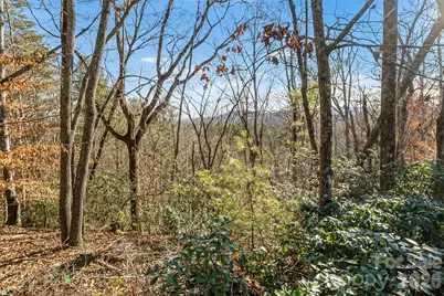 961 High Trail Drive #35-11, Nebo, NC 28761 - Photo 11