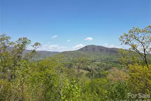 Lot 4 Hibiscus Ct, Lake Lure, NC 28746 - Photo 1