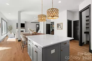 144 Walking Horse Trail, Davidson, NC 28036 - Photo 21