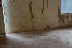 190 Pinewood Knoll Dr, Hendersonville, NC 28739 - Photo 15