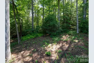 30 Falcon Wood Way, Hendersonville, NC 28739 - Photo 35