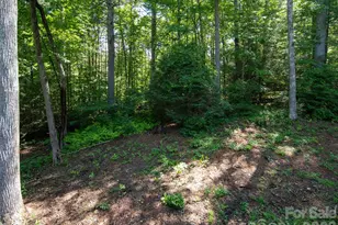 30 Falcon Wood Way, Hendersonville, NC 28739 - Photo 35