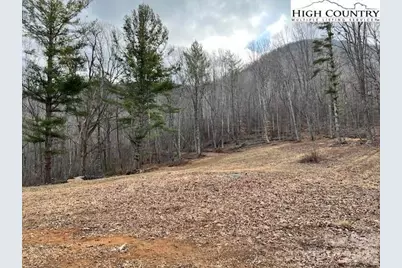 Tbd McNeill Road, Lansing, NC 28643 - Photo 5