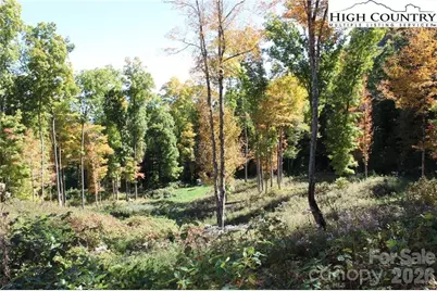 Tbd McNeill Road, Lansing, NC 28643 - Photo 7