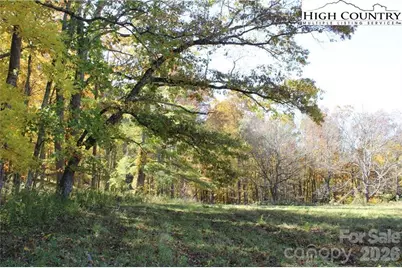 Tbd McNeill Road, Lansing, NC 28643 - Photo 1