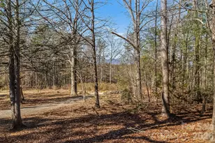 1446 Bridlewood Ln, Morganton, NC 28655 - Photo 21