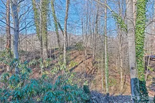 259 Hemlock Loop, Maggie Valley, NC 28751 - Photo 11