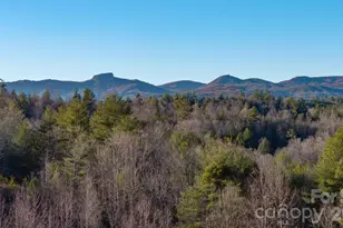 4021 & 4022 Johns River Rd, Morganton, NC 28655 - Photo 11