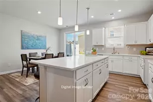 6010 Mallow Crossing Ln, Charlotte, NC 28213 - Photo 9