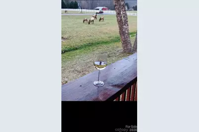 54 Meandering Way #31, Maggie Valley, NC 28751 - Photo 31