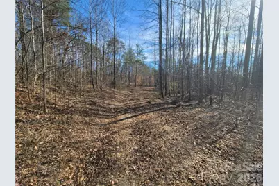 0 Bill Collins Road, Columbus, NC 28722 - Photo 9