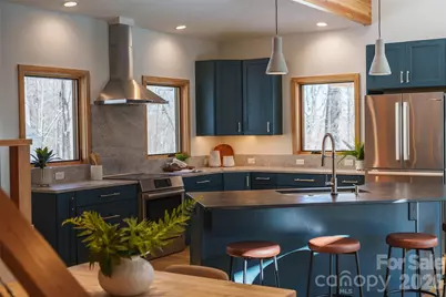 584 Springbrook Lane, Brevard, NC 28712 - Photo 11