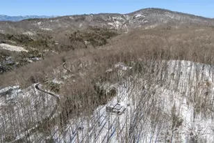 584 Spring Brook Ln, Brevard, NC 28712 - Photo 47