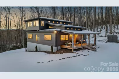 584 Springbrook Lane, Brevard, NC 28712 - Photo 3