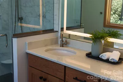 584 Springbrook Lane, Brevard, NC 28712 - Photo 23