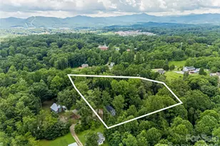 239 Bonnies Mdw Pl, Asheville, NC 28806 - Photo 45