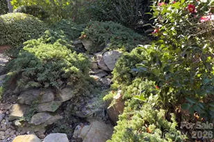 18530 Carnegie Overlook Blvd, Davidson, NC 28036 - Photo 33