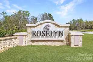 5420 Redbud Rd, Lancaster, SC 29720 - Photo 29