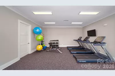 167 Asmodean Lane, Troutman, NC 28166 - Photo 33