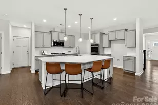 12309 Westbranch Pkwy, Davidson, NC 28036 - Photo 13