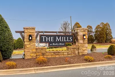 7397 Mill Ruins Avenue SW, Concord, NC 28025 - Photo 41