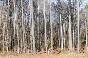 149 Bramble Trail, Salisbury, NC 28144 - Photo 27