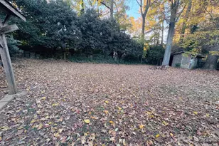 1915 Birchcrest Dr, Charlotte, NC 28205 - Photo 19