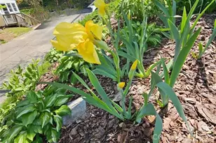 79 Fryling Ave SW, Concord, NC 28025 - Photo 31