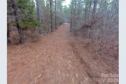 734 Great North Road, Winnsboro, SC 29180 - Photo 25