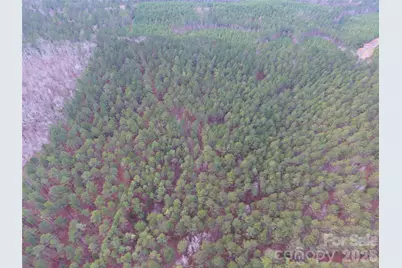 734 Great North Road, Winnsboro, SC 29180 - Photo 15