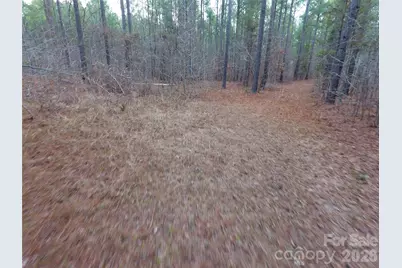 734 Great North Road, Winnsboro, SC 29180 - Photo 27