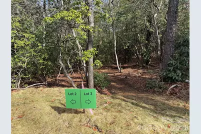 Tract 3 Turtle Ridge Trail, Mills River, NC 28759 - Photo 9