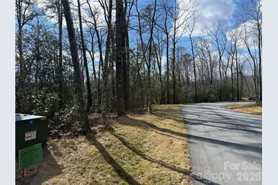 Tract 4 Turtle Ridge Trail, Mills River, NC 28759 - Photo 3