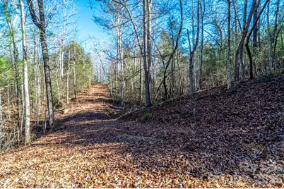 739 McCanless Creek Drive, Marion, NC 28752 - Photo 35