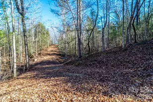 739 McCanless Creek Dr, Marion, NC 28752 - Photo 35