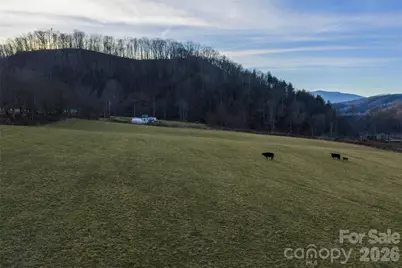 00 Poplar Cove Road, Clyde, NC 28721 - Photo 9