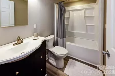 158 Pearson Circle, Lake Lure, NC 28746 - Photo 29