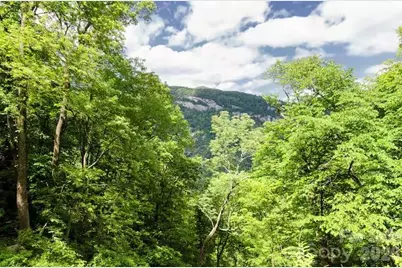 158 Pearson Circle, Lake Lure, NC 28746 - Photo 43