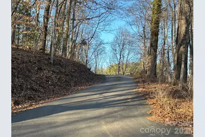 99999 Hickory Tree Road, Asheville, NC 28805 - Photo 11