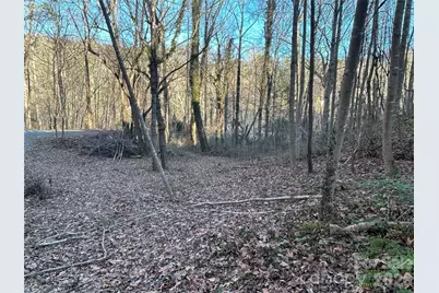 99999 Hickory Tree Road, Asheville, NC 28805 - Photo 5