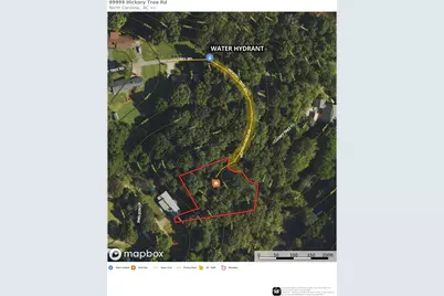 99999 Hickory Tree Road, Asheville, NC 28805 - Photo 3