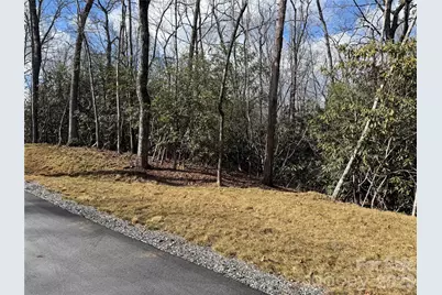 Tract 2 Turtle Ridge Trail, Mills River, NC 28759 - Photo 5