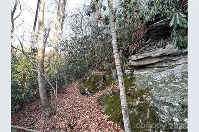 00 Rock House Cove Road #2, Clyde, NC 28721 - Photo 7