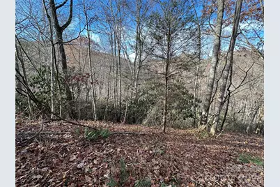 00 Rock House Cove Road #2, Clyde, NC 28721 - Photo 3