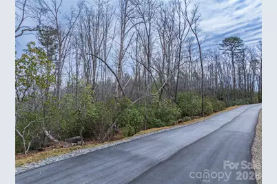 Tract 1 Turtle Ridge Trail, Mills River, NC 28759 - Photo 17