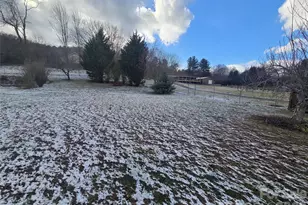 703 Garren Creek Rd, Fairview, NC 28730 - Photo 43