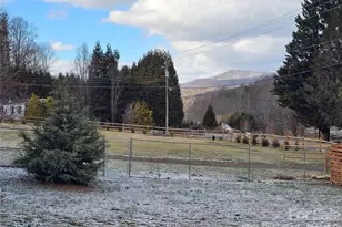 703 Garren Creek Rd, Fairview, NC 28730 - Photo 37