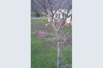 703 Garren Creek Road, Fairview, NC 28730 - Photo 45